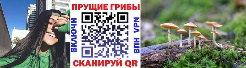 закладки  Бабаево  Галлюциногенные грибы ЛСД 
