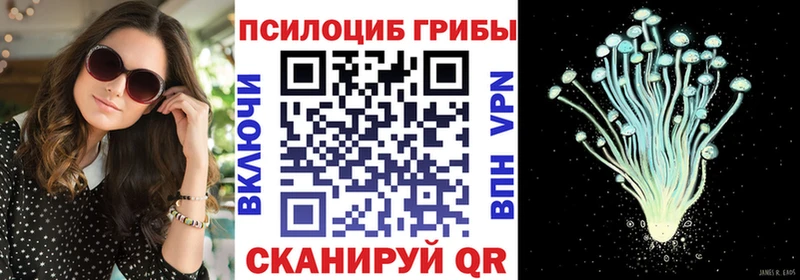 Галлюциногенные грибы MAGIC MUSHROOMS Бабаево